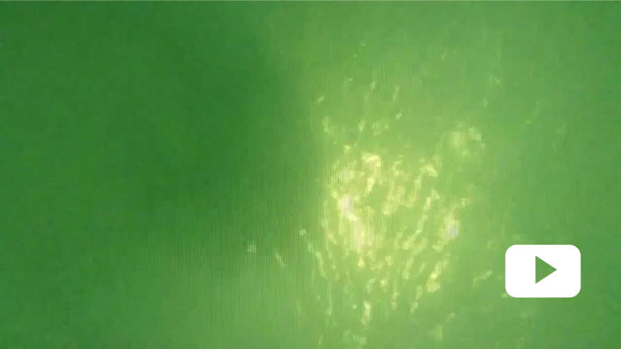 Video 동영상 재생